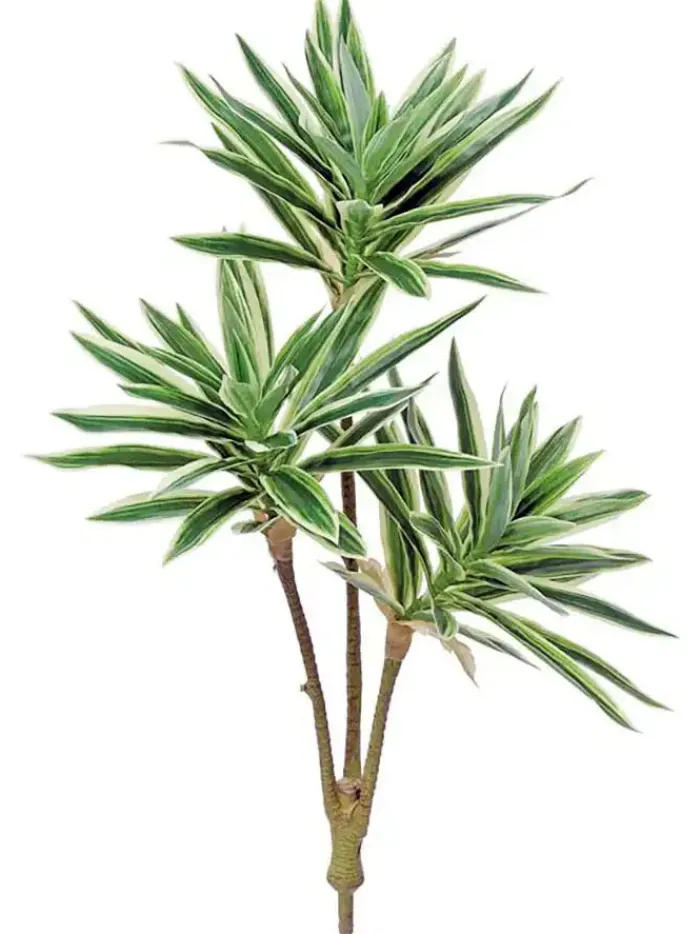 song_of_jamaica__in_green_0.webp Aldik Home Desk Plants | Artificial Tree Branches<Song of Jamaica 23.5 in. Green/white