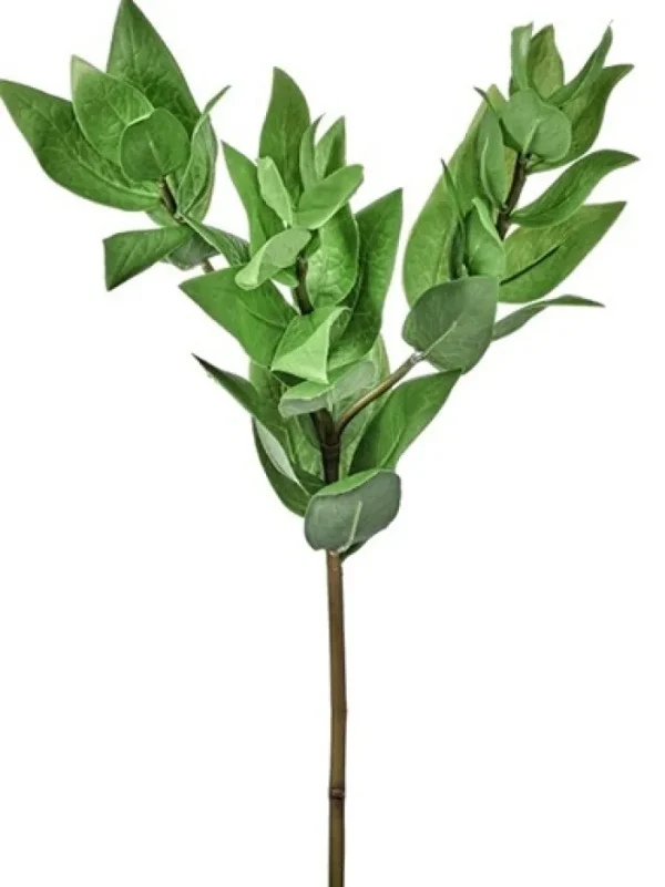 Aldik Home Tropical Plants & Flowers<Triple Israeli Ruscus Spray 20 in.