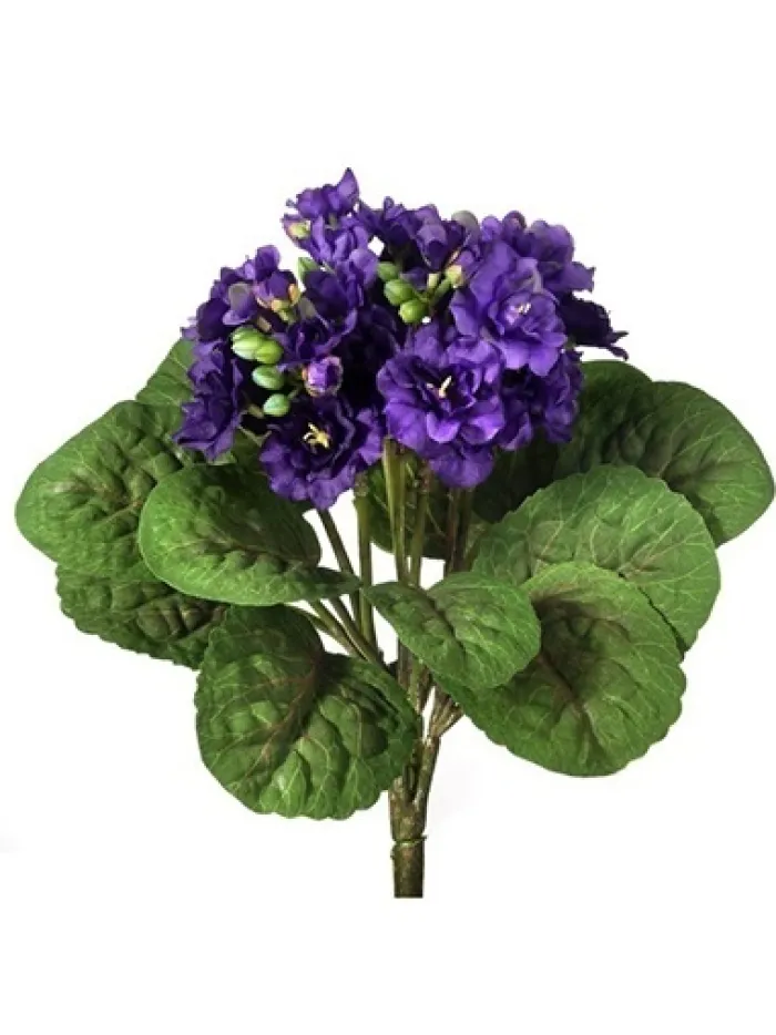 violet_plant__in_violet_0.webp Aldik Home Flowering Bushes<Violet Plant 12 in. Violet