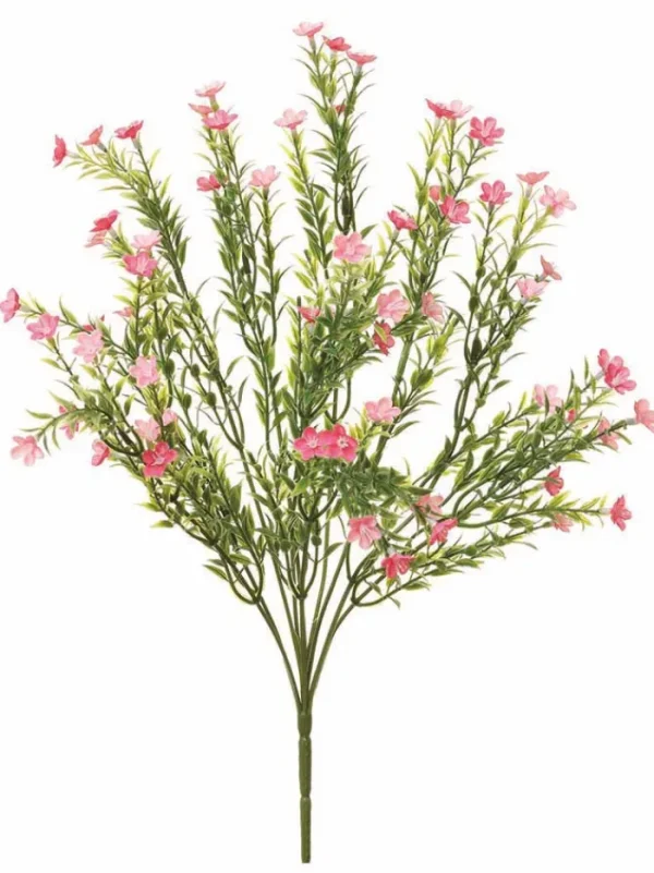 Aldik Home Flowering Bushes<Waxflower Bush 20 in. Pink