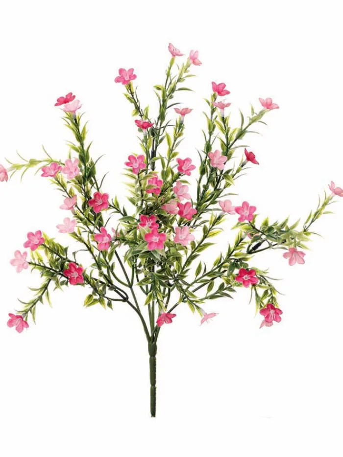 waxflower_bush__in_pink_0.webp Aldik Home Flowering Bushes<Waxflower Bush 14 in. Pink