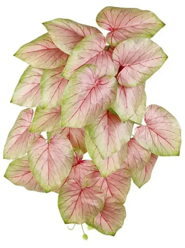 Aldik Home Desk Plants | Tropical Plants & Flowers<Wild Caladium Bush 23 in. Pink/Green