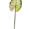 Aldik Home Tropical Plants & Flowers<Wild Caladium Leaf 36.5 in. Green / Mauve