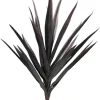 Aldik Home Yucca Plants<Yucca 27 in. Burgundy