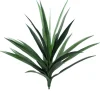 Aldik Home Yucca Plants<Yucca 27 in. Green