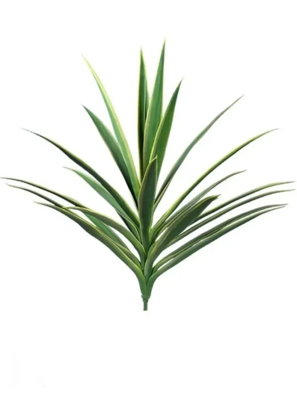 Aldik Home Yucca Plants<Yucca 27 in. Variegated Green