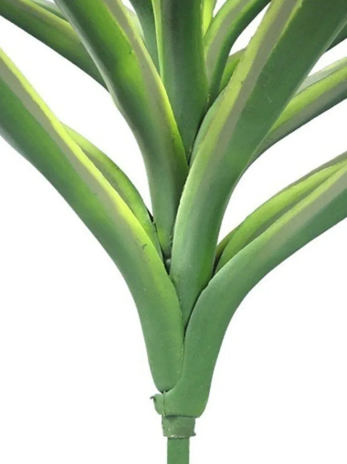 yucca__in_variegated_gree_1.webp Aldik Home Yucca Plants<Yucca 27 in. Variegated Green