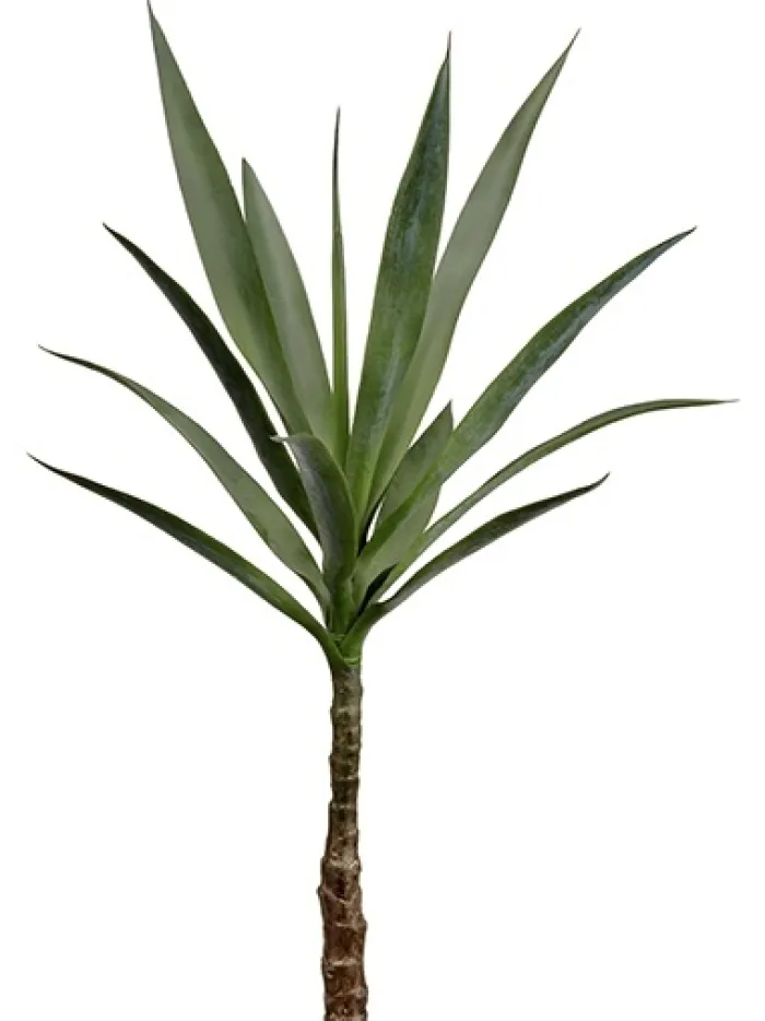 yucca_plant__in_green_0.webp Aldik Home Yucca Plants<Yucca Plant 33 in. Green